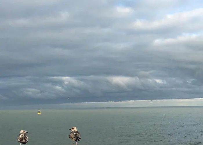 Sea And View With Double Terrace Flat C *