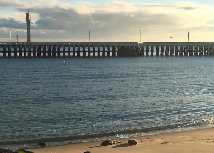 Sea And View With Double Terrace Flat C