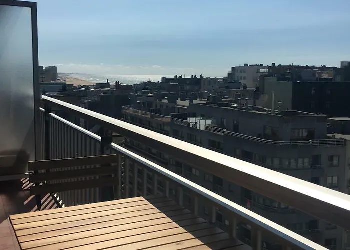 Sea And View With Double Terrace Flat C 奥斯滕德