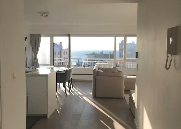公寓 Sea And View With Double Terrace Flat C 奥斯滕德